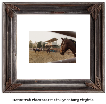 horse trail rides near me in Lynchburg, Virginia